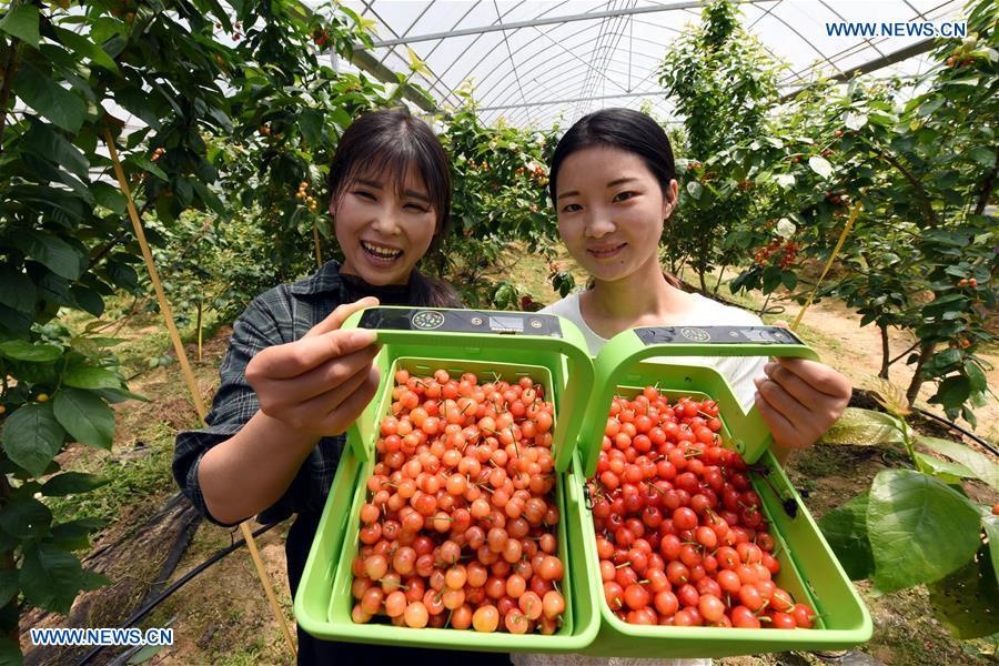 New Techs Make Life Smarter in Yujiang County, E China